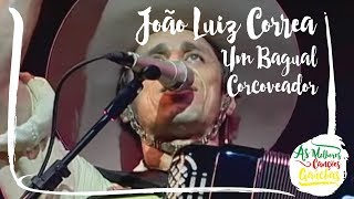João Luiz Corrêa - Um Bagual Corcoveador (Ao Vivo - Show DVD)