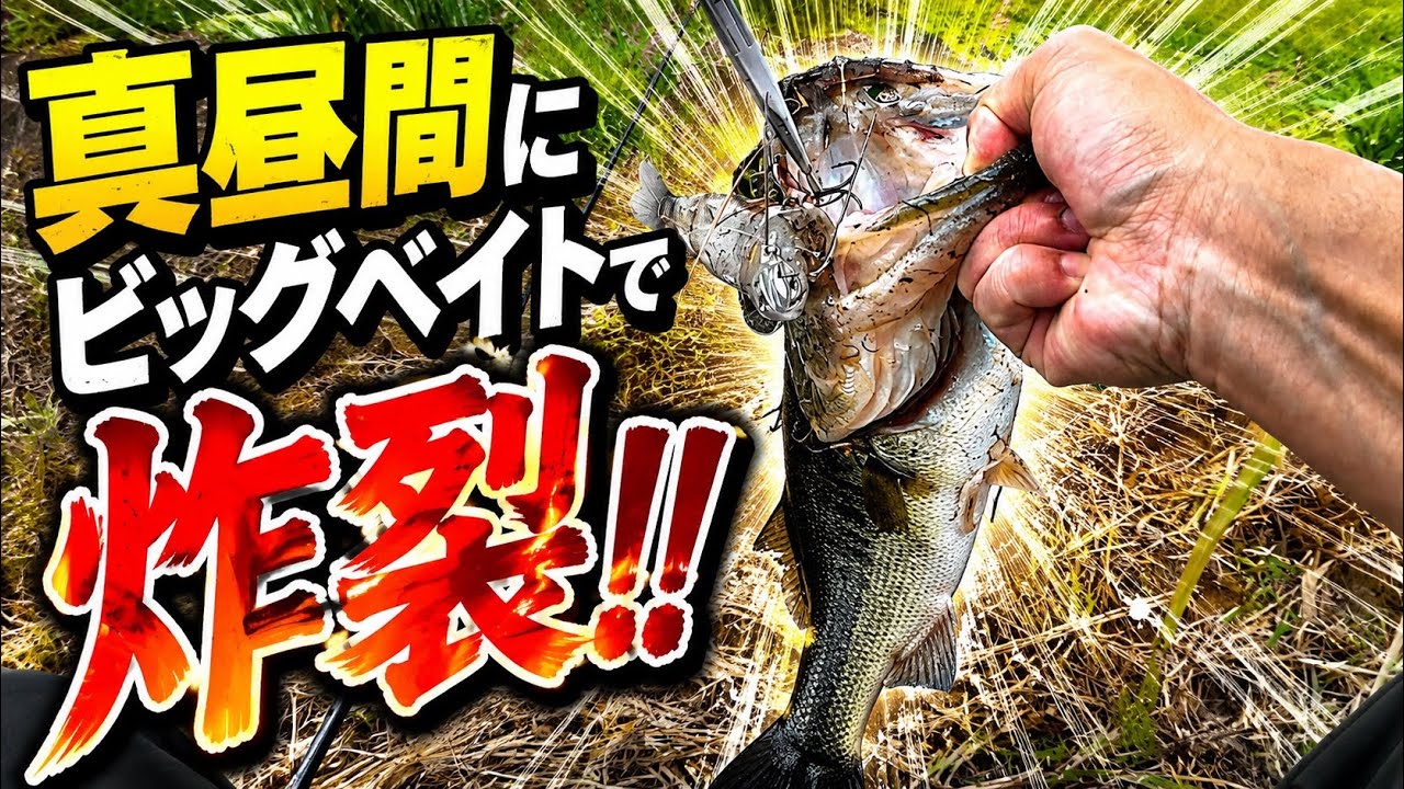 【柴山沼】条件さえ揃えば時間なんて関係ない。【バス釣り】