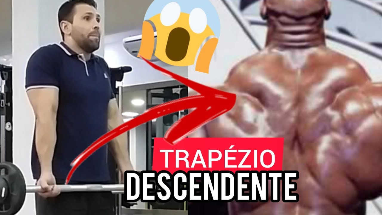 TRAPÉZIO DESCENDENTE: ENCOLHIMENTO COM BARRA RETA - TREINO PARA ...