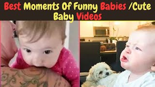 Cute And Funny Babies Crying Moments - Funniest Home Videos Cute And Funny Babies