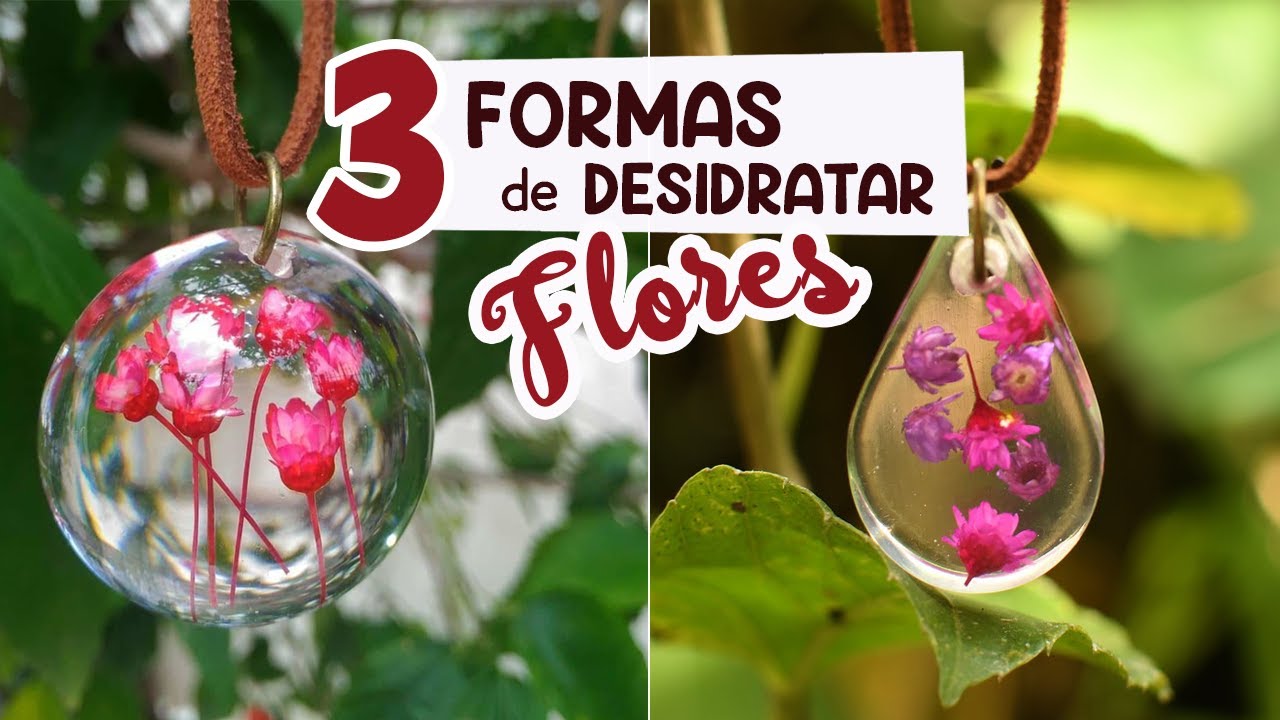 3 formas de desidratar plantas e flores para trabalhos com Resina