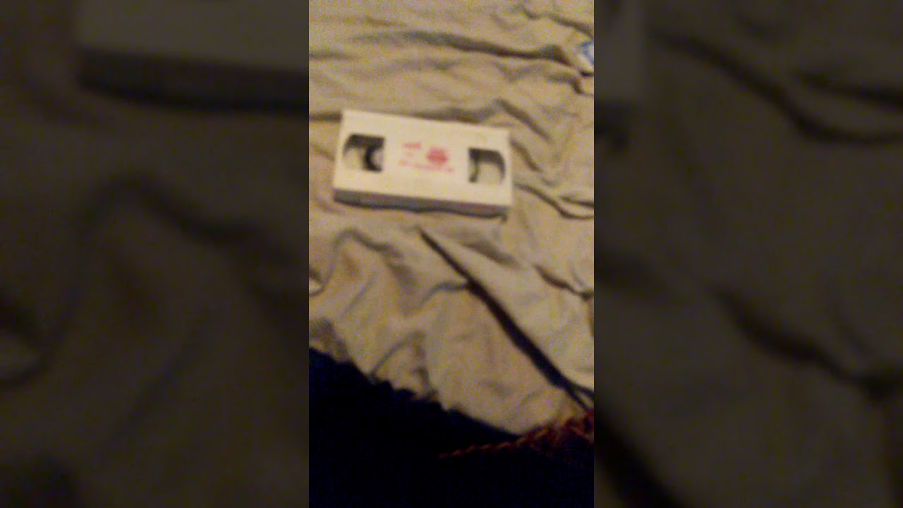 Smashing My Barney VHS