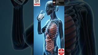 Milk Explained Like Never Before 🥛 | Human Body 3D Visualization#science