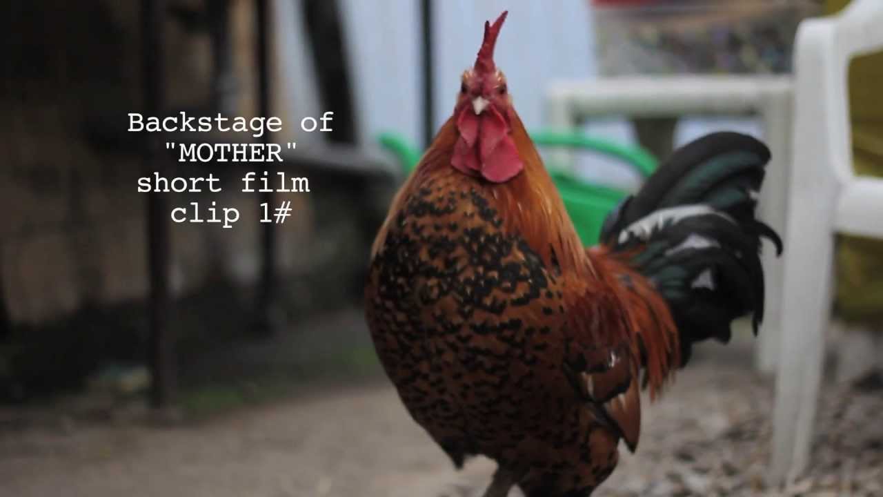 Backstage of "MOTHER" short film | clip 1#