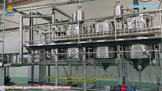 5 TPD Edible Oil Refining and Dewaxing Process Line (Sunflower, Peanut, Soybean, Palm, Camellia,Oil)