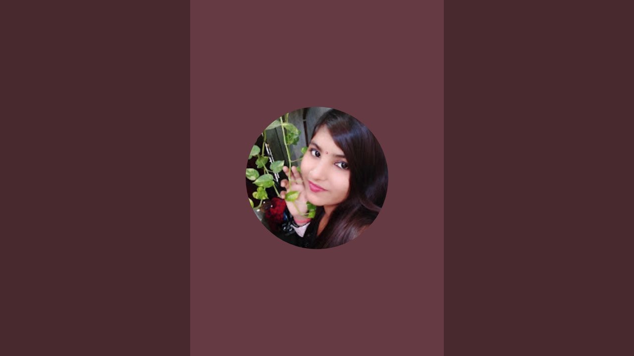 Chandnivlogs is live!