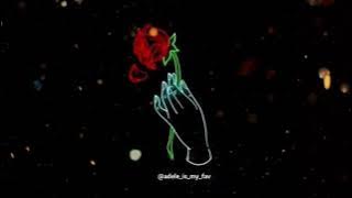 Adele - Don't you remember (slowed n reverb)