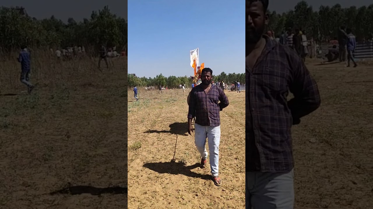 Eanusonai jellikattu TSR bull  black Jaguar