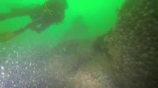 Dykning vid Fossen Camping Gullmarsfjorden Juni 2013