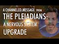 A nervous system upgrade  a channeled message from the pleiadians