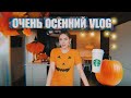 VLOG: украшаю дом, рецепт тыквенно пряного, расклад ТАРО и Halloween