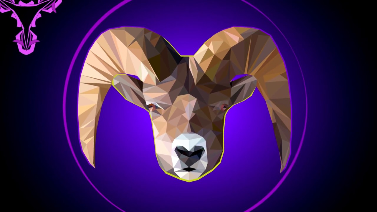 Vector Low Poly in Illustrator