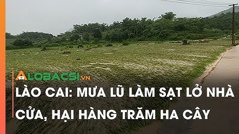 Lào Cai: Mưa lũ làm sạt lở nhà cửa, hại hàng trăm ha cây trồng
