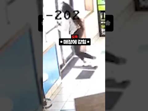 보자마자 느낌이 쎄했던 주인
