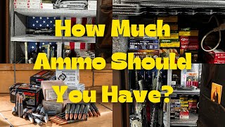 How Much Ammo is Enough For SHTF? by Georgia 4Low 88,276 views 2 months ago 4 minutes, 46 seconds