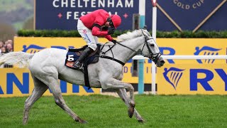 Vidéo de la course PMU TURNERS NOVICES' CHASE