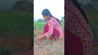 खेती-बाड़ी का काम चल रहा है 🌱💫... #trending #popular #shorts #video #reels #viral