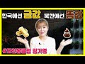 (KOR CC) 김가영의 남북 이야기: The price of gold in South Korea, the price of poop in North Korea!