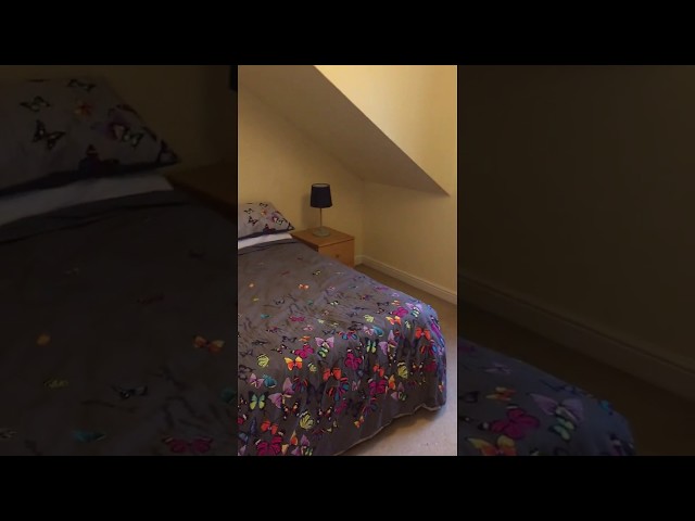 Video 1: Half of Bedroom