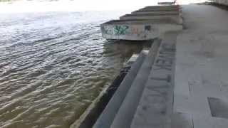 Sava kod Brankovog mosta 20140519 3