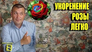 УКОРЕНЕНИЕ РОЗЫ ЛЕГКО. УСОВЕРШЕНСТВОВАНИЕ ПАРНИЧКА ДЛЯ УКОРЕНЕНИЯ. ЭКЗОТИКА НА ПОДОКОННИКЕ.