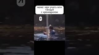 А Что Лучше Для Вас: Учиться Или Танцевать С Крокодилом?😄