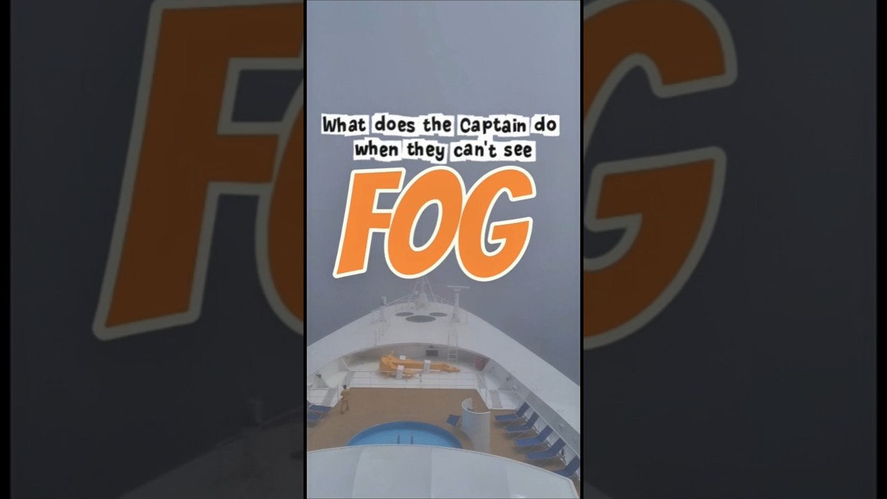 When the fog is so thick the captain has to remind everyone… WE'RE COMING THROUGH! #CruiseShip
