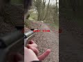 German Luftgewehr Classics