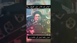 Fazail Hazrat Abu Talib A.s Emanay Abu Talib Pa Eman Rakhna Allama Syed Ali Raza Rizvi