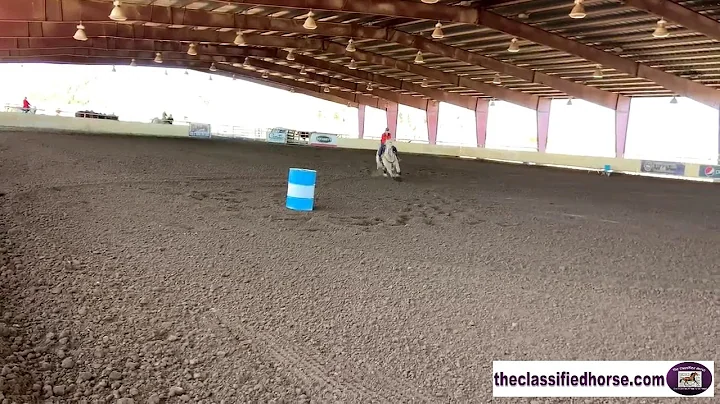 January 30th, 2021/Winning Barrel Run/Litchfield P...