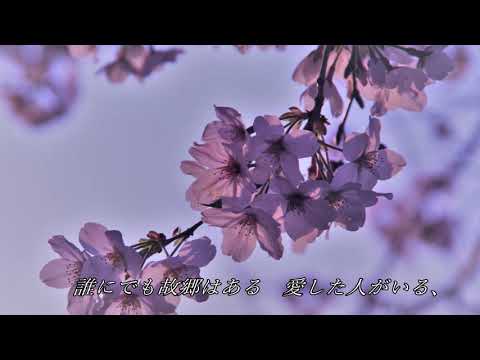 春の夢