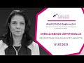 Hseven talks avec pr amal el fallah seghrouchni  enjeux et impacts de lintelligence artificielle