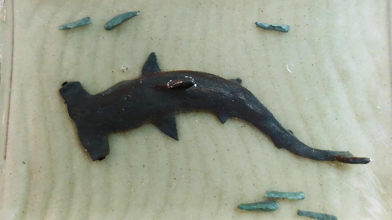 DIY Resin Hammerhead shark diorama YouTube