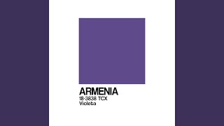 Miniatura del video "Armenia - Pienso en Tu Mirá"