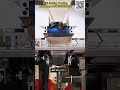 Automatic Premade Pouch Packing Machine for Dry Mushroom