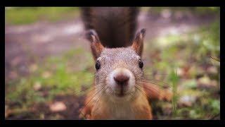 Утренний Бор, Ягры, Северодвинск [Sony а6000] / 17