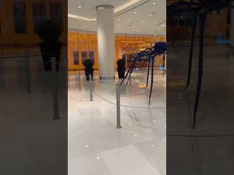 الله يعزك يا الامارات ويحفظكم اكسبلور