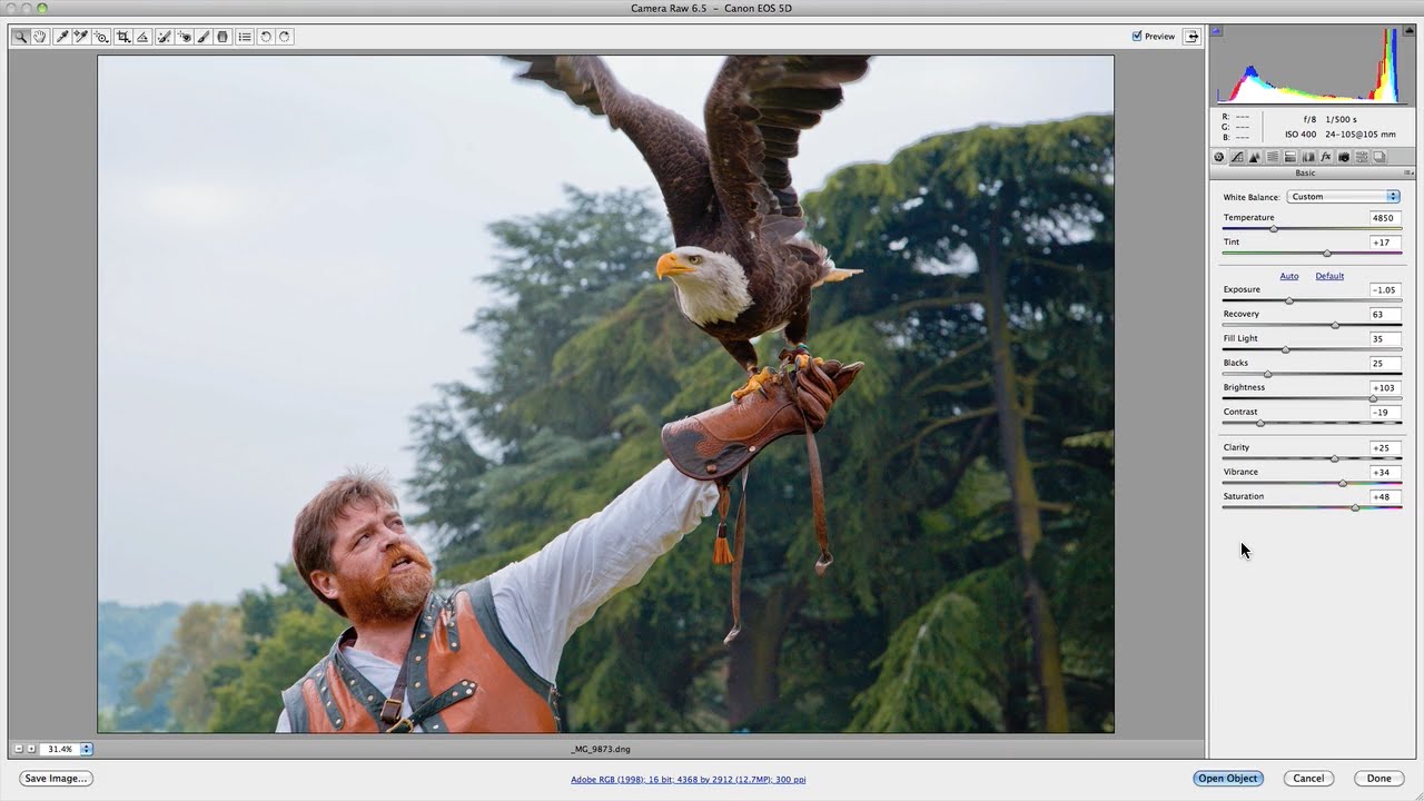 Camera Raw Basics: An Introductory Tutorial For Beginners