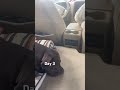 07 Ford Explorer no build van life camper layout with dogs #VanLife #Viral #foryoupage