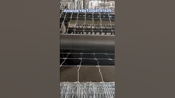 Fixed knot fence machine,fixed knot mesh machine #deerfence #america