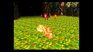 [TAS] N64 Donkey Kong 64 "no levels early" by theballaam96 in 1:37:18.52