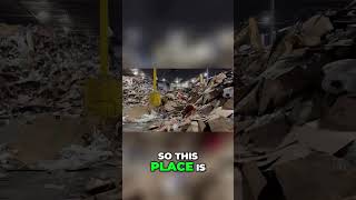Why are there so many rats here?!?