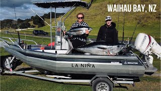 Epic Bluefin Tuna Catch & DIY Poke Bowls Adventure at Waihau Bay!