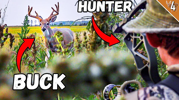 FULL DRAW on a BUCK for 6 MINUTES?? ( Bow Hunting Velvet Whitetails)