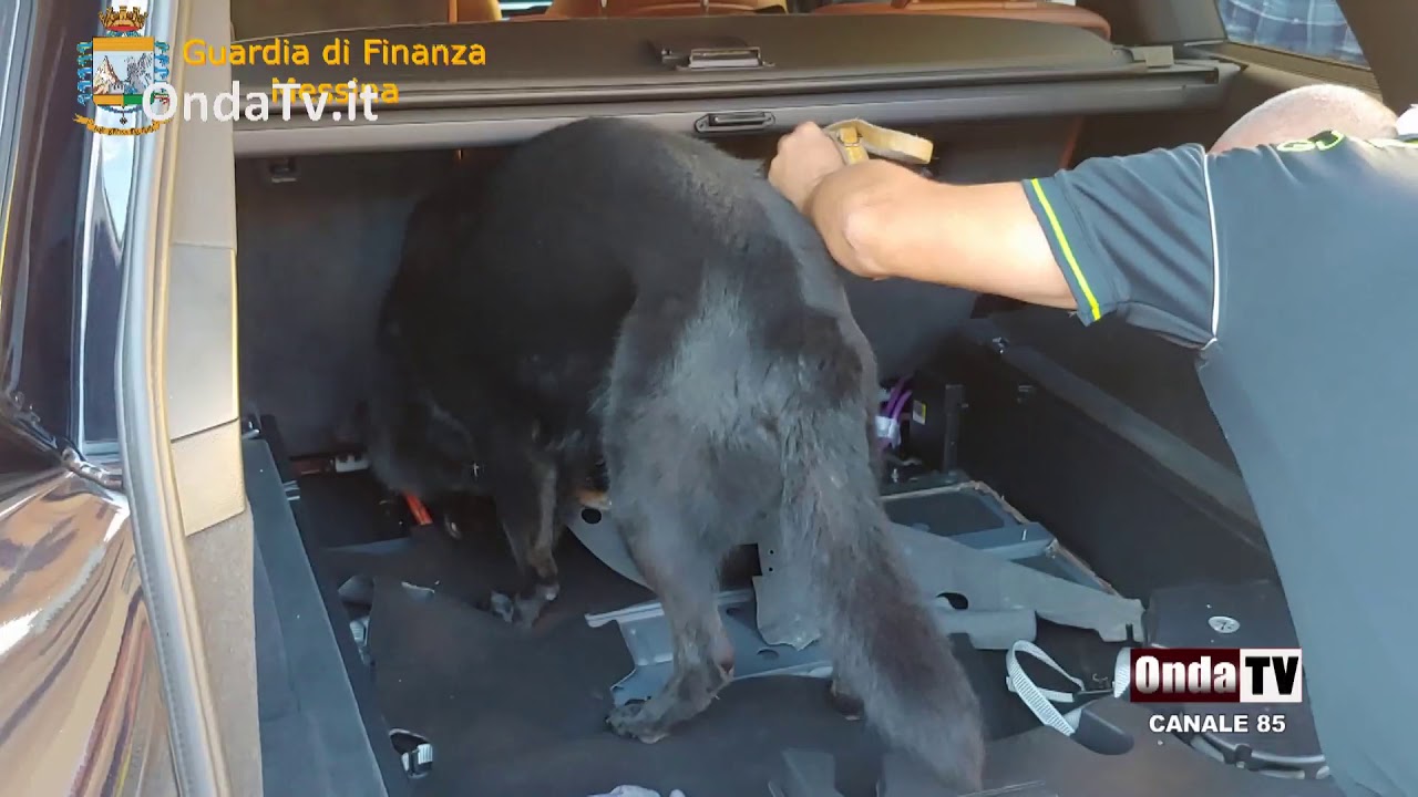 Maxi sequestro di droga agli imbarcaderi di Messina  Scoperti 20 kg di cocaina