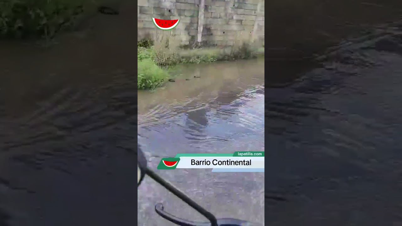Sin suministro desde hace 15 días en el Barrio Continental de Barinas y el agua derramándose por las calles