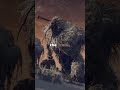The WAR Against GIANTS in Elden Ring #eldenring #eldenringlore #shorts