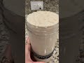 Peaked Sourdough Starter #bread #baking #sourdough bread #sourdoughstarter