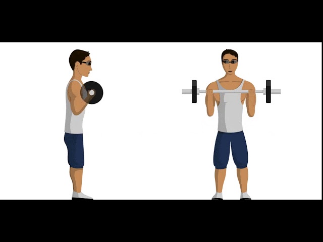 Подъем штанги на бицепс