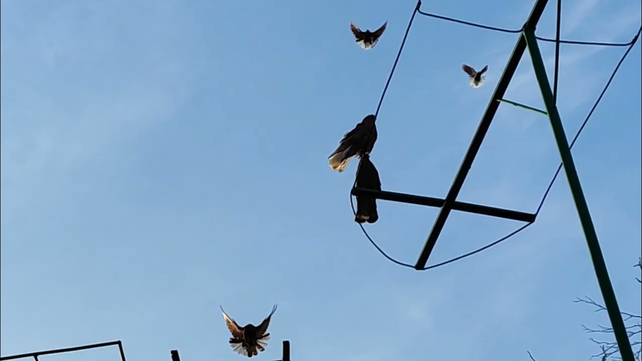 4 марта 2026 г.